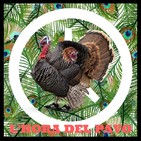 L’Hora del Pavo