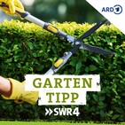 Fleischfressende Pflanzen