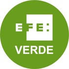 Mangas Verdes Nº 198