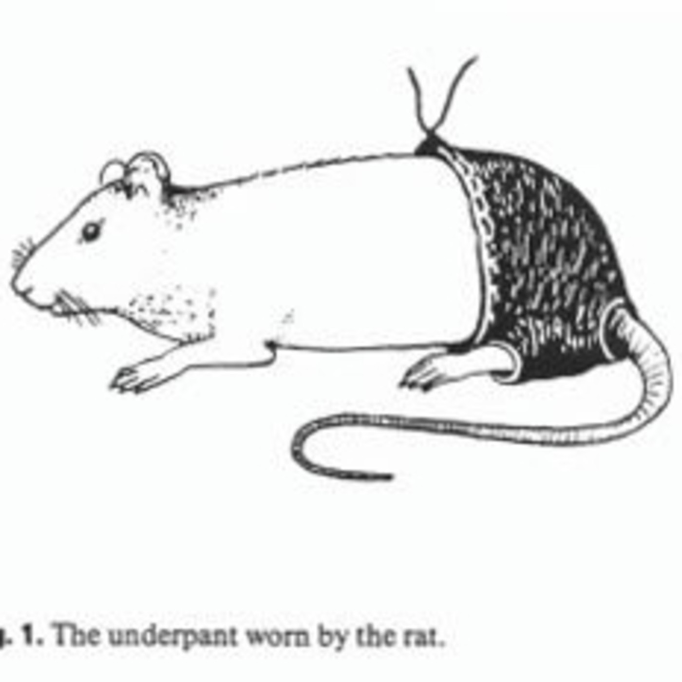 Postestructuralismo acusmático