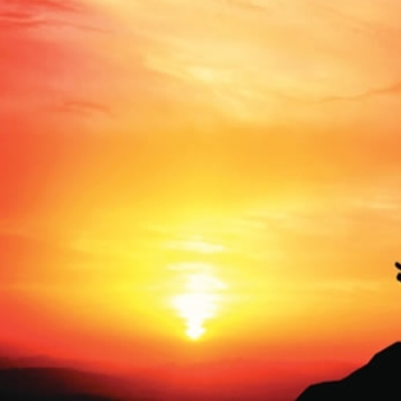 Podcast de elcuentodelaradio