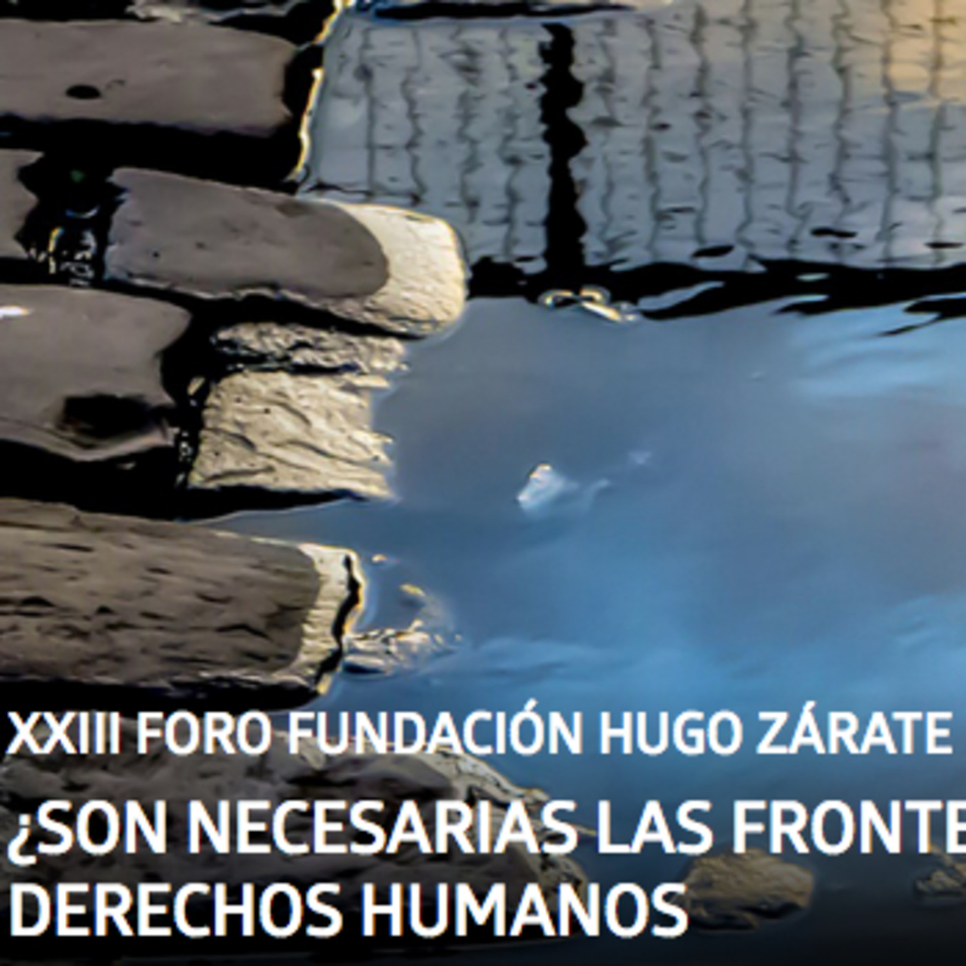 XXIII Foro Fundación Hugo Zárate