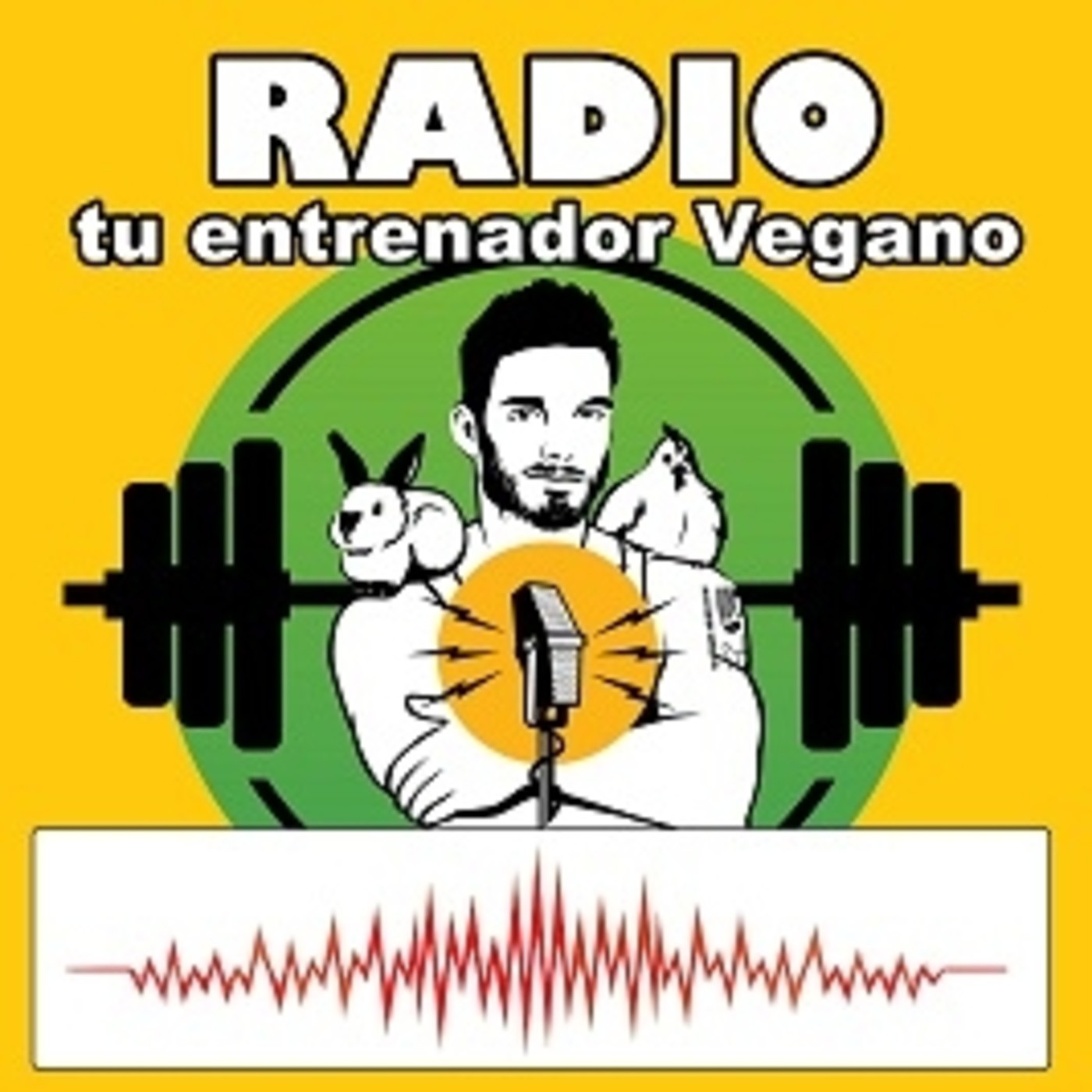 24: Dieta Vegana y gases, hinchazón abdominal, pesadez... Consejos prácticos
