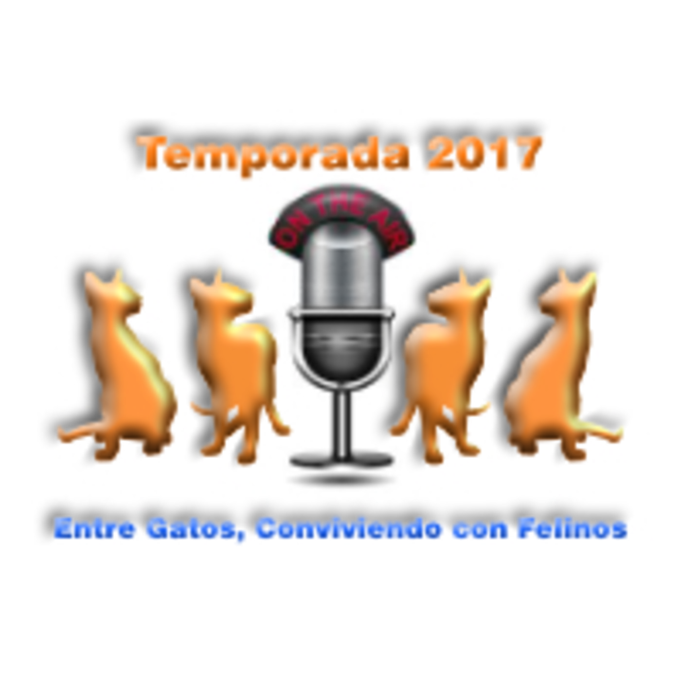 Entre Gatos, Conviviendo con Felinos