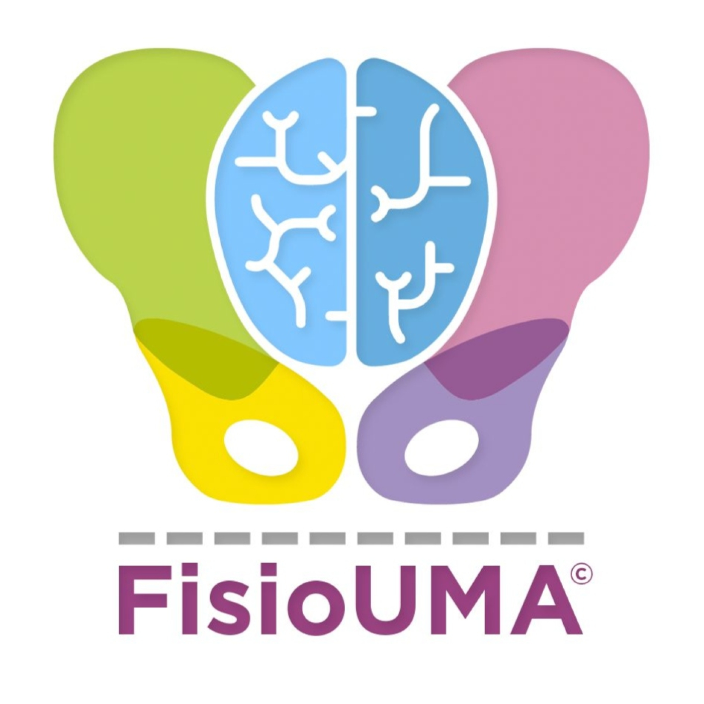 FisioUMA