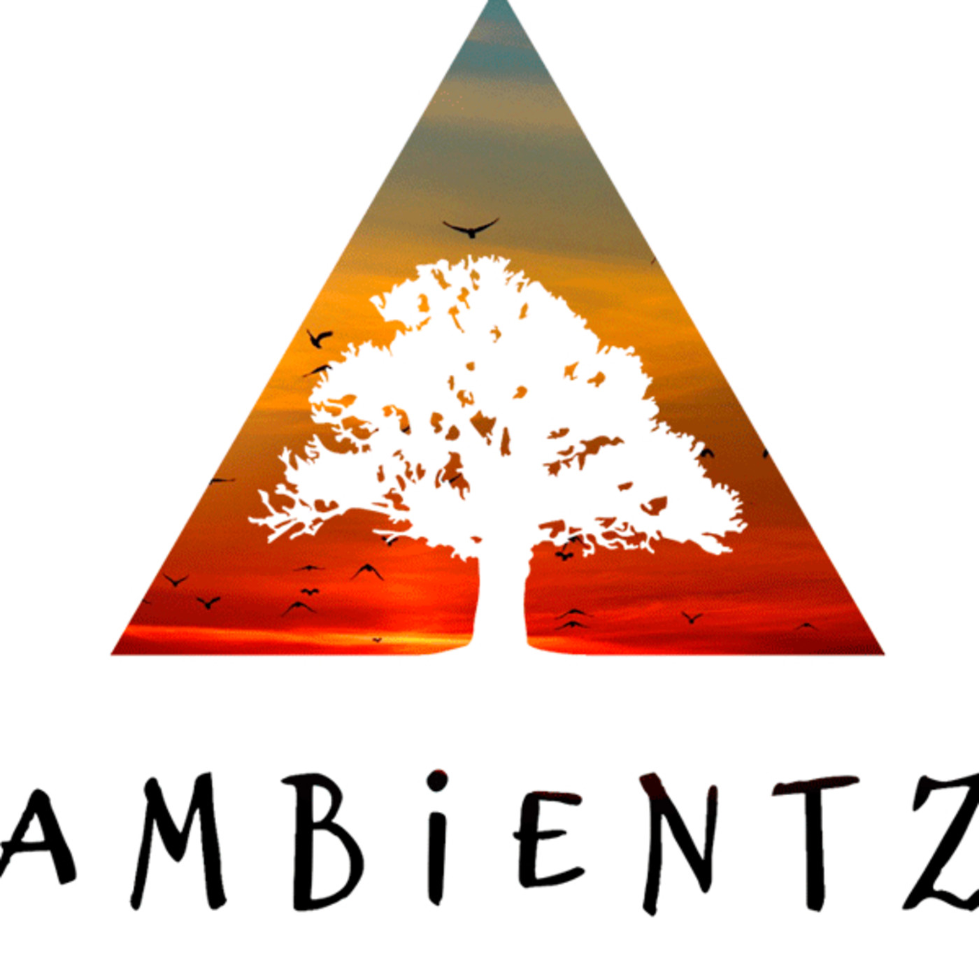 Ambientz