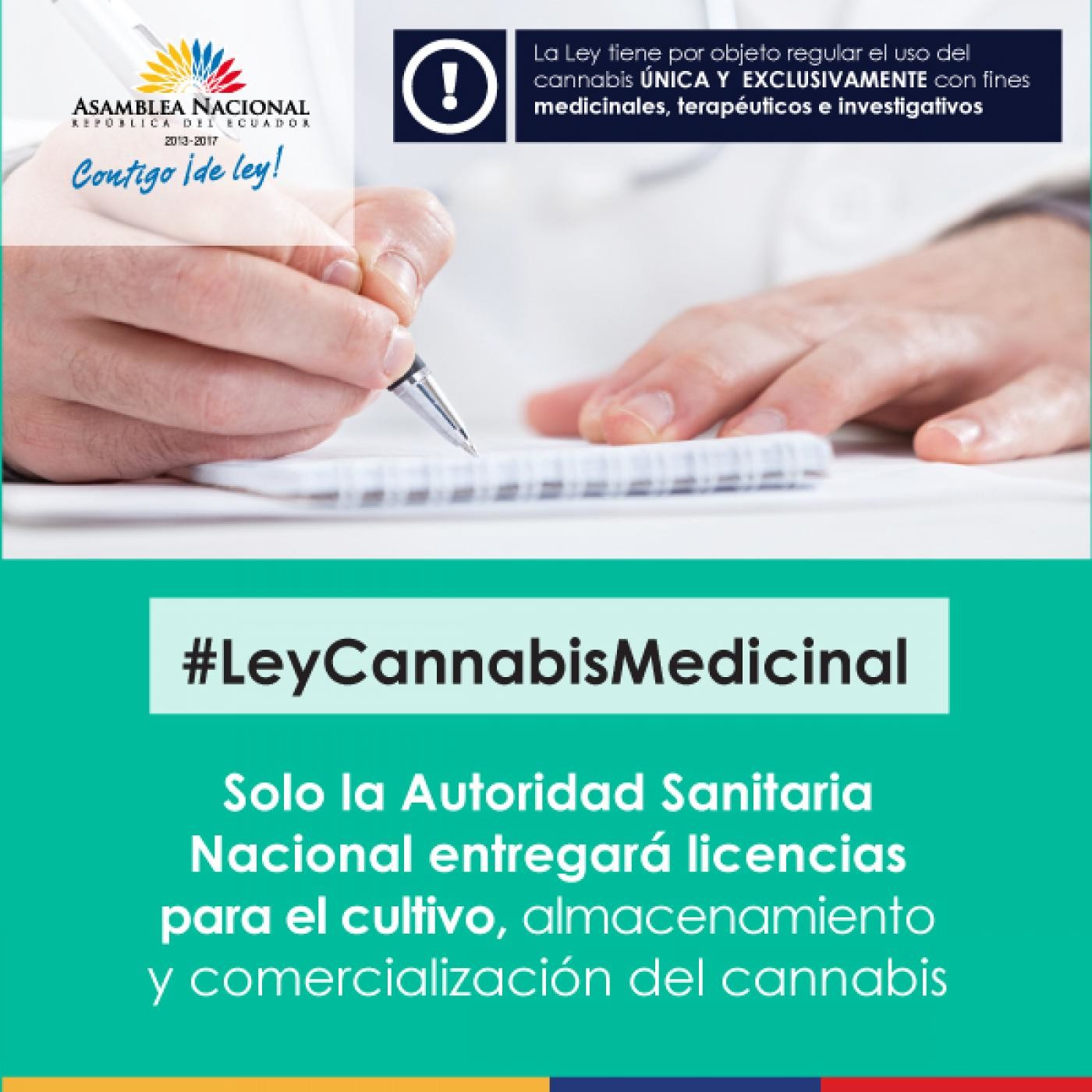 Proyecto de ley cannabis medicinal