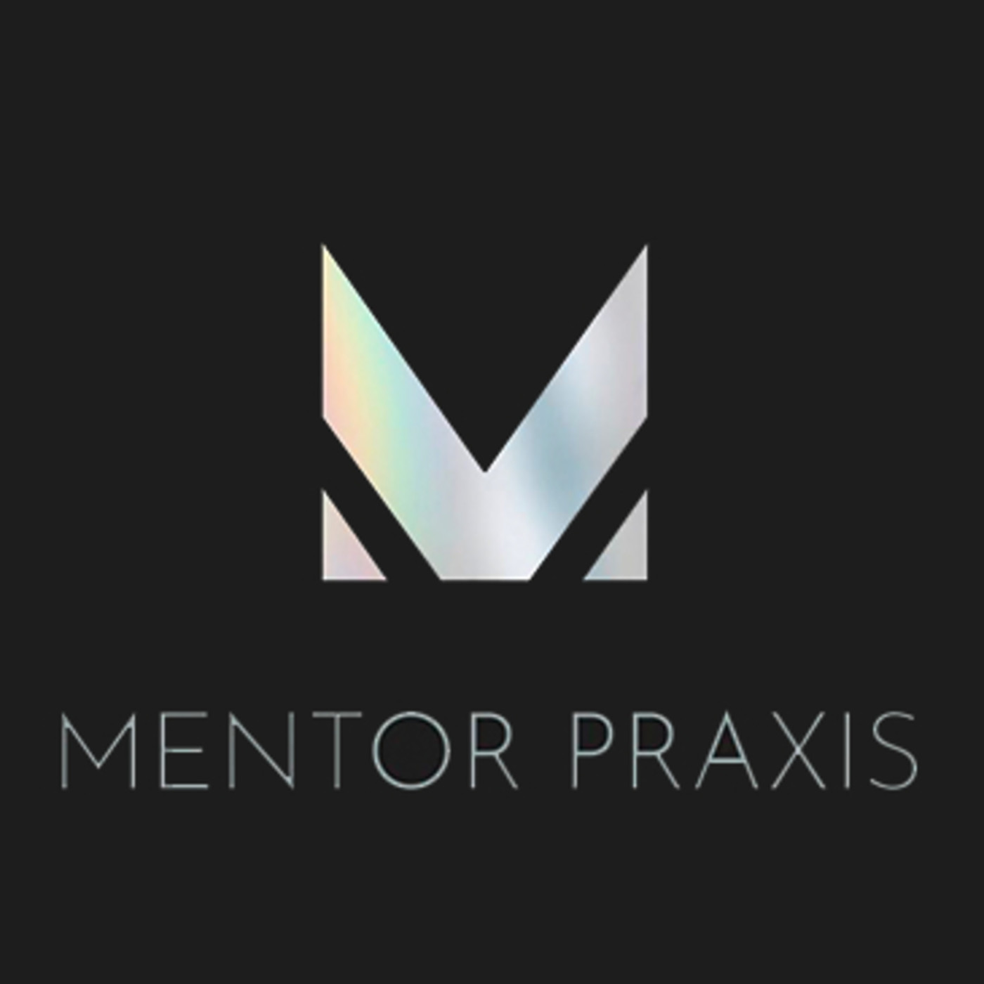 Mentor Praxis