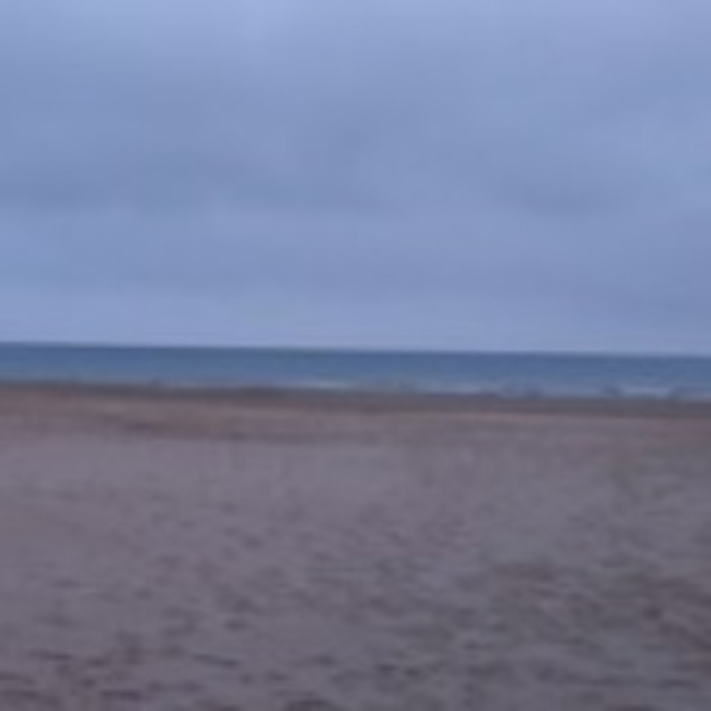 ENTRA EN LA HISTORIA