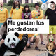 Saludos, Sabella