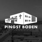 Känna frihet i livet