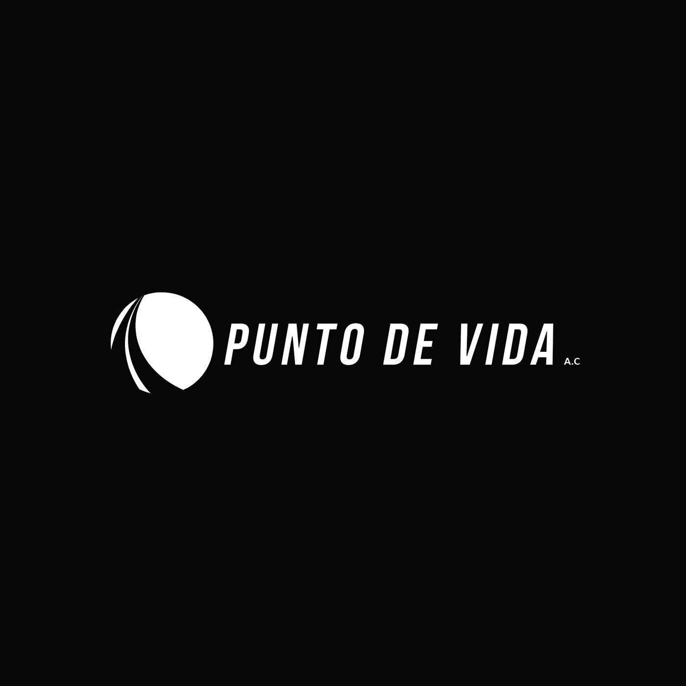 Punto de Vida