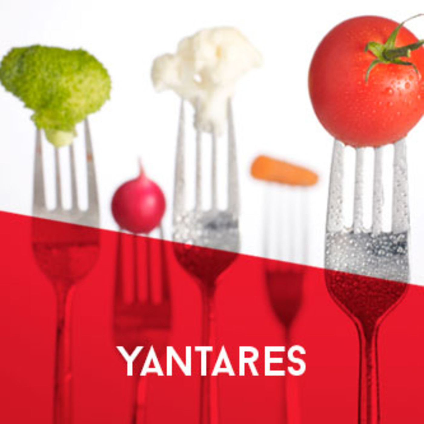 Yantares