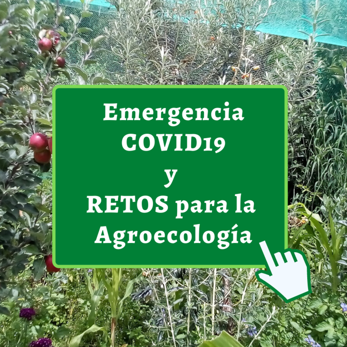 COVID 19 y retos AGROECOLOGÍA
