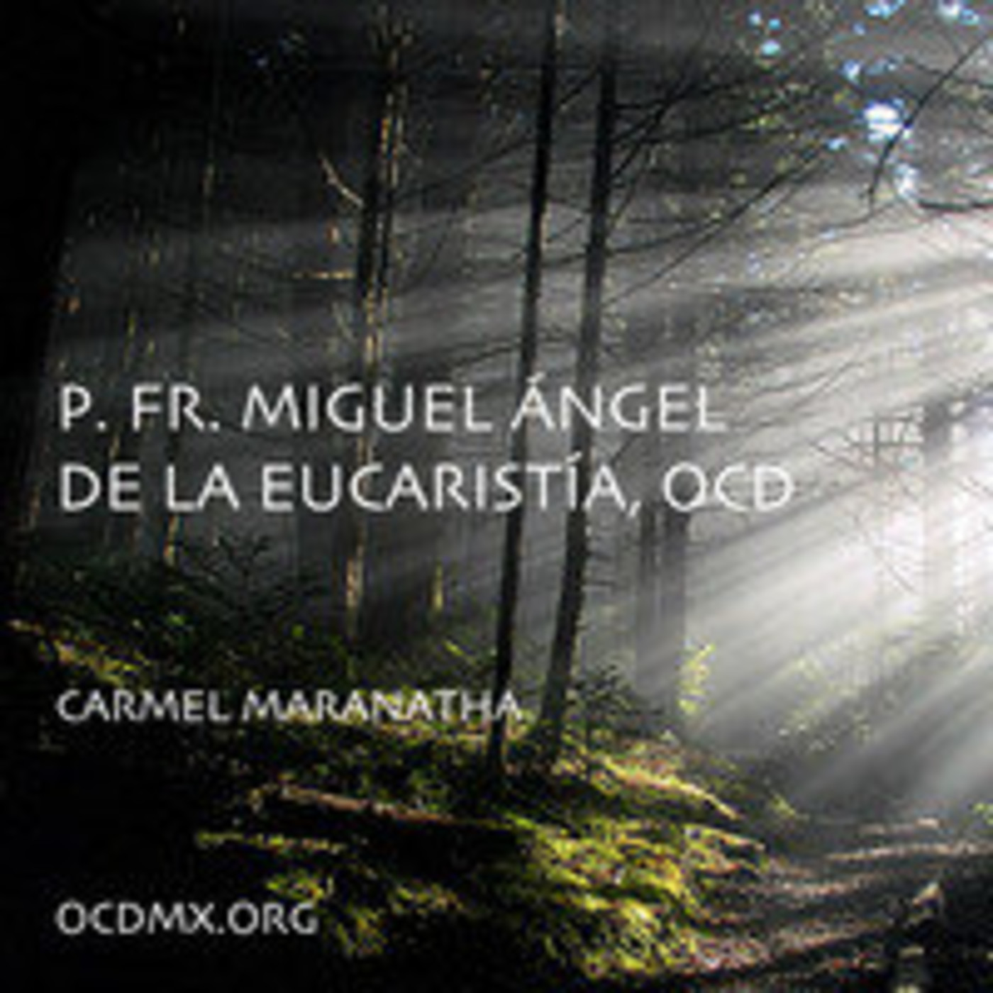 Meditaciones - Fr. Miguel Ángel de la Eucaristía,