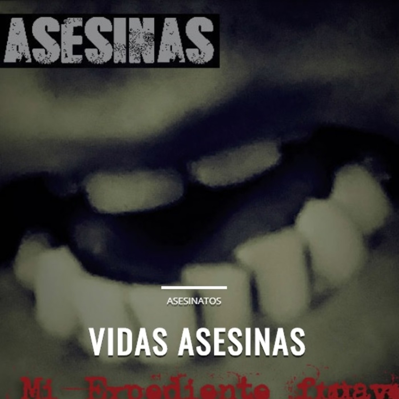 Vidas Asesinas