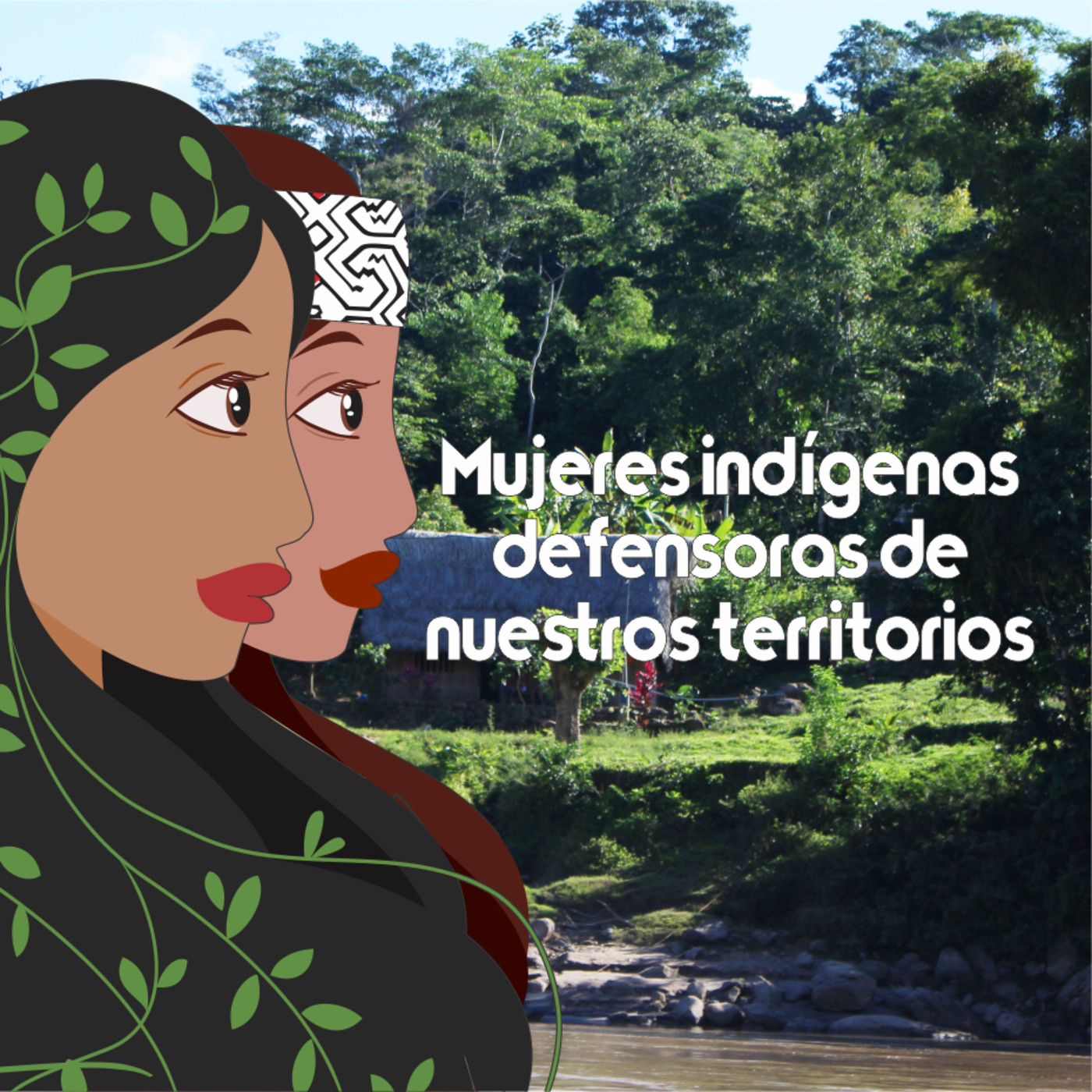 Defensoras de nuestros territorios