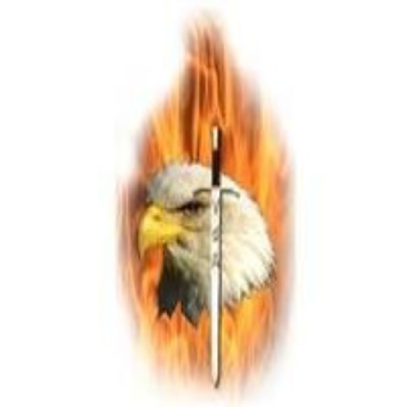 Podcast VISION DE AGUILAS - TEMUCO CHILE