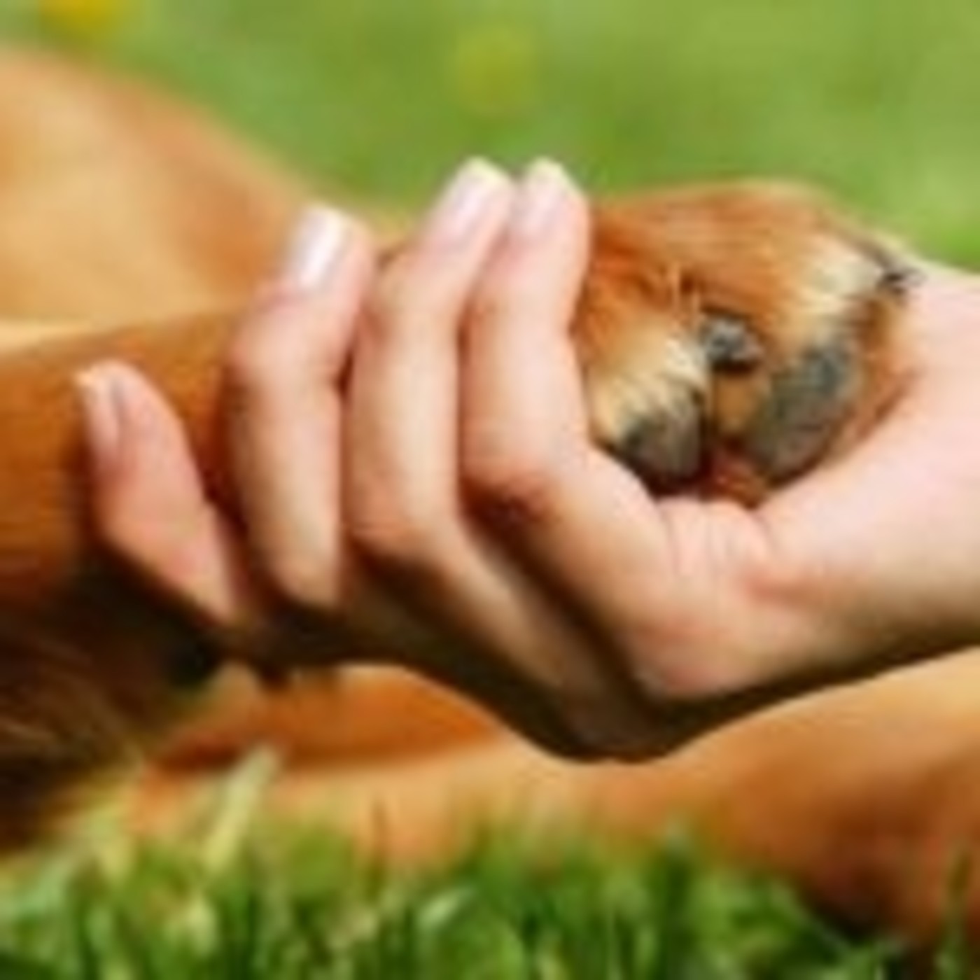 Costes de la protección del medio ambiente 2