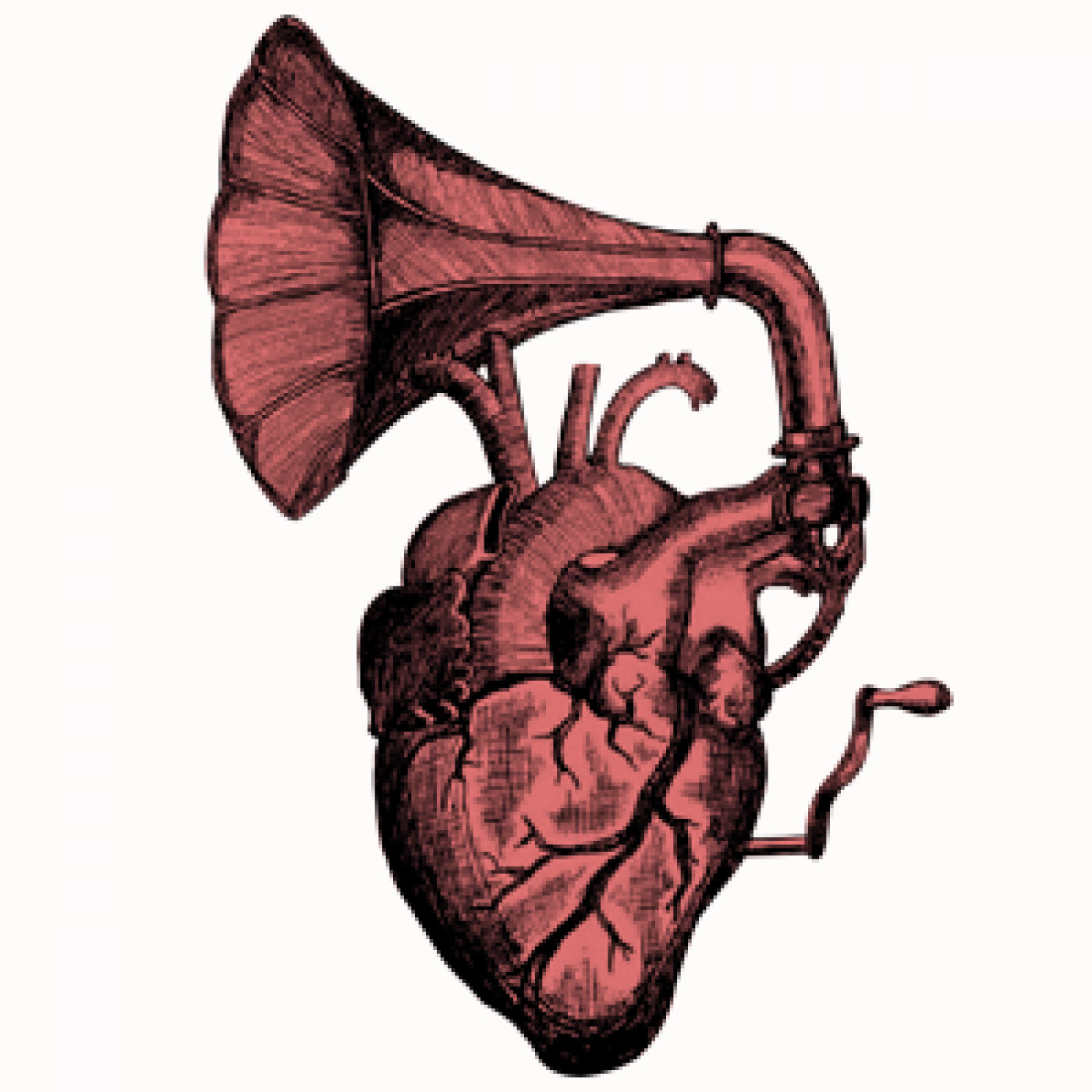 Bajo 10 Rock'n'Roll Radio