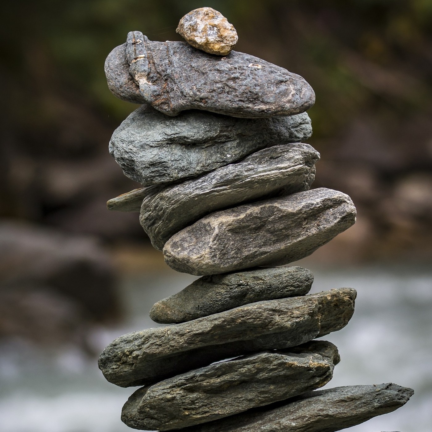 FILOVITAL (mente y cuerpo en equilibrio)