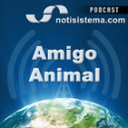 Amigo Animal - Notisistema