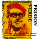 embed image