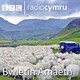 Sioe Môn ar-lein am y tro cyntaf