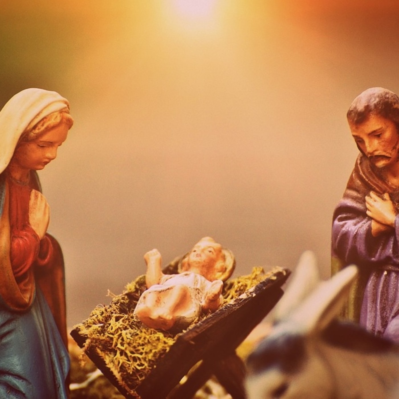 Estrellas de la Navidad 2017