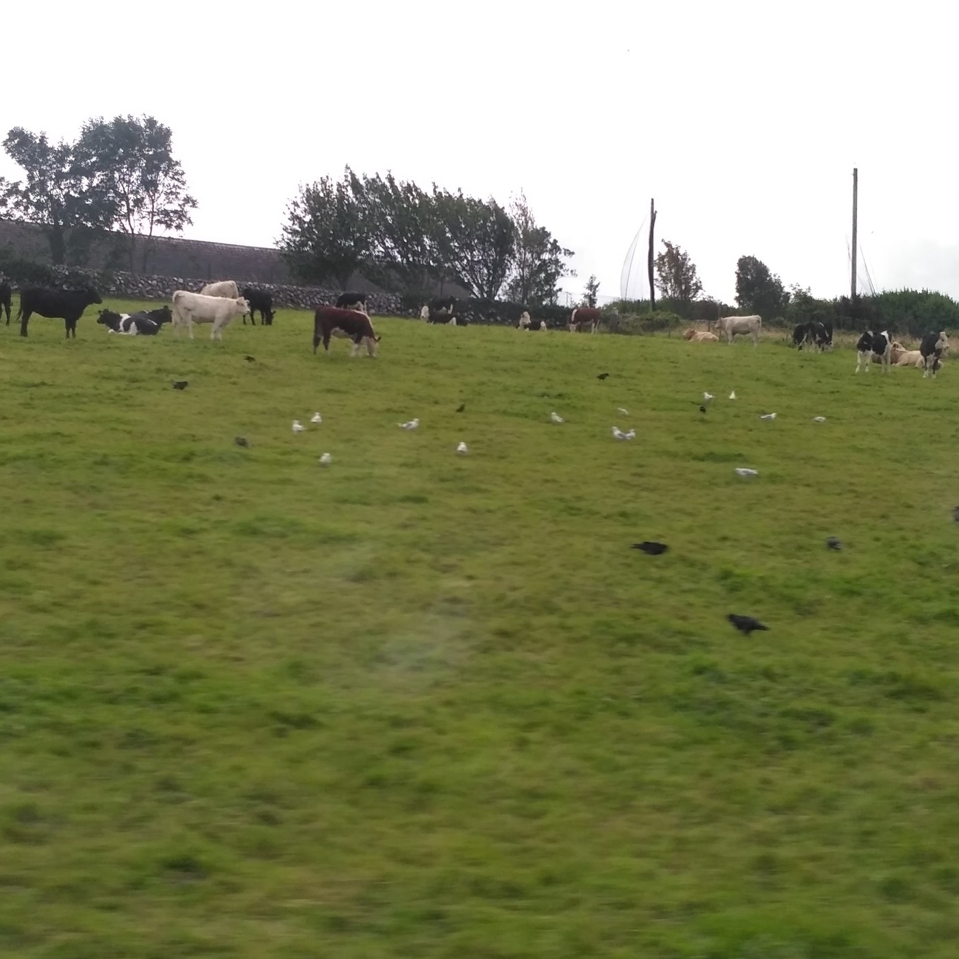 Mensajes y dedicatorias