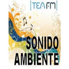 Sonido Ambiente-005-Exterior aeropuerto Gatwick