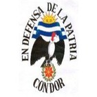 Virgen Morenita