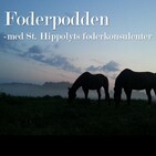 Hästens Vätskebalans