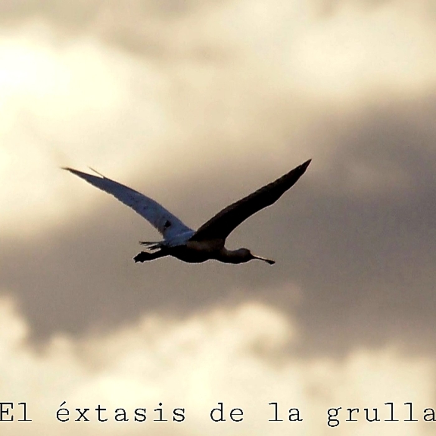 EL ÉXTASIS DE LA GRULLA