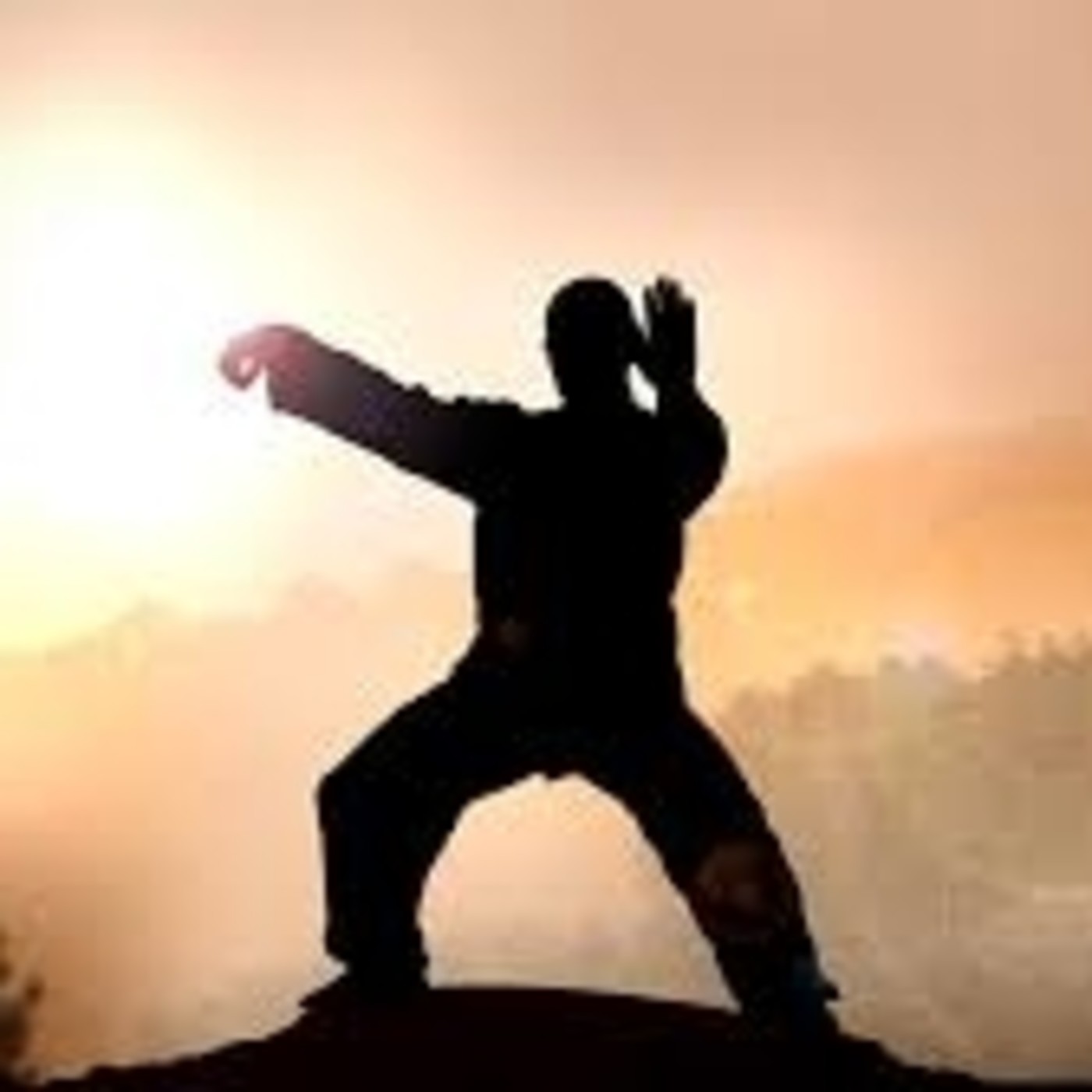 Artes Marciales Chinas - Al Límite Radio Marca