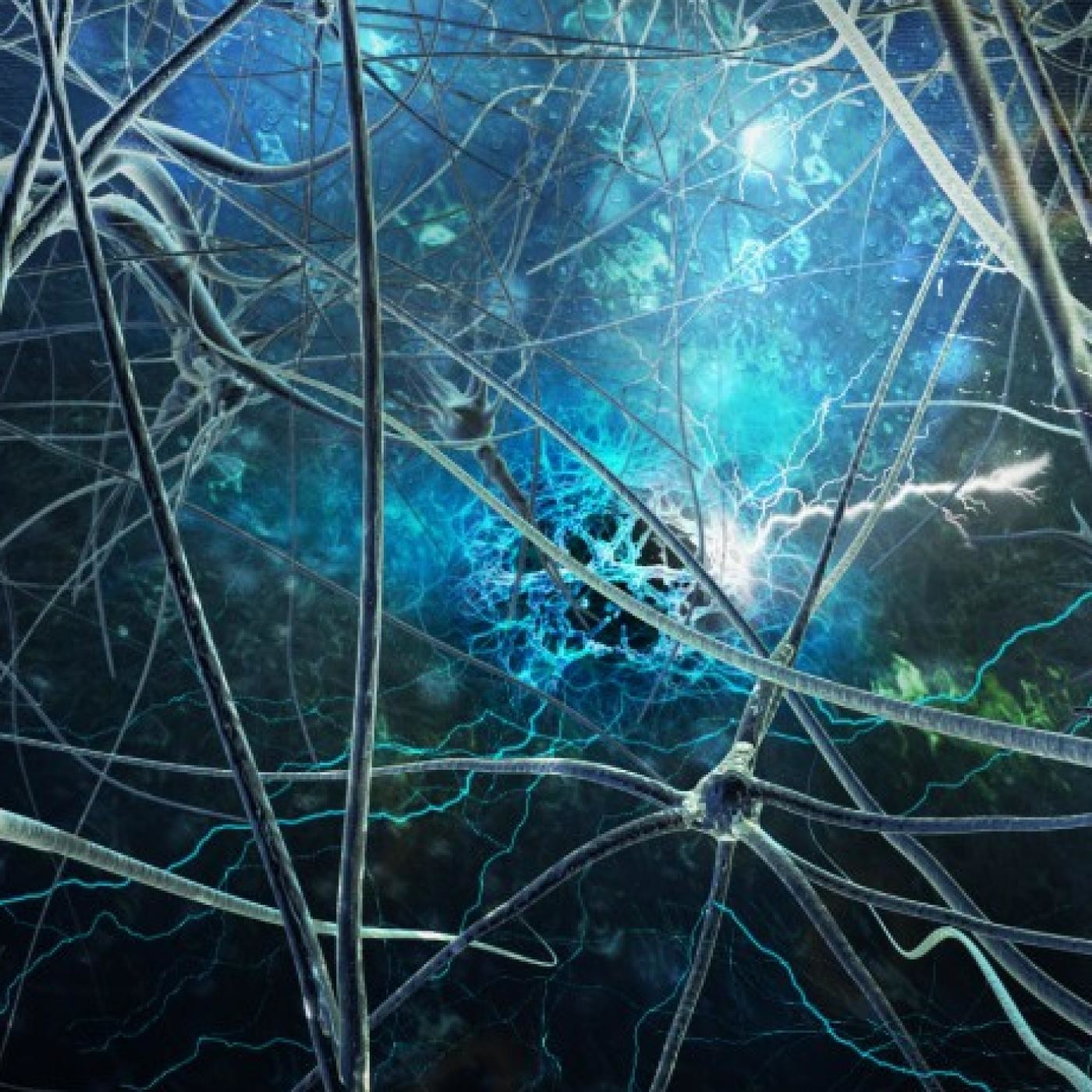 Neurofónicos