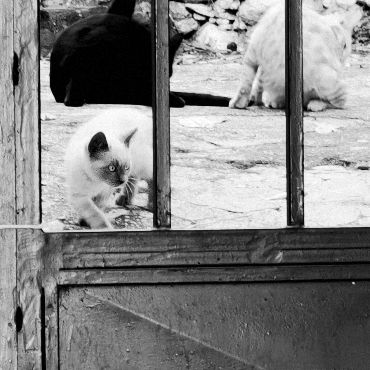 Jam session la chistera 