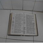 Salmo 23