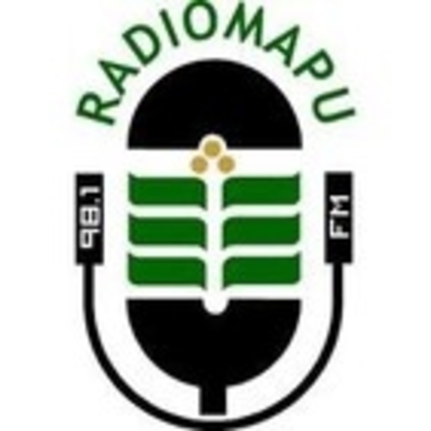 RadioMapu 2017 - Taller de RadioRelatos