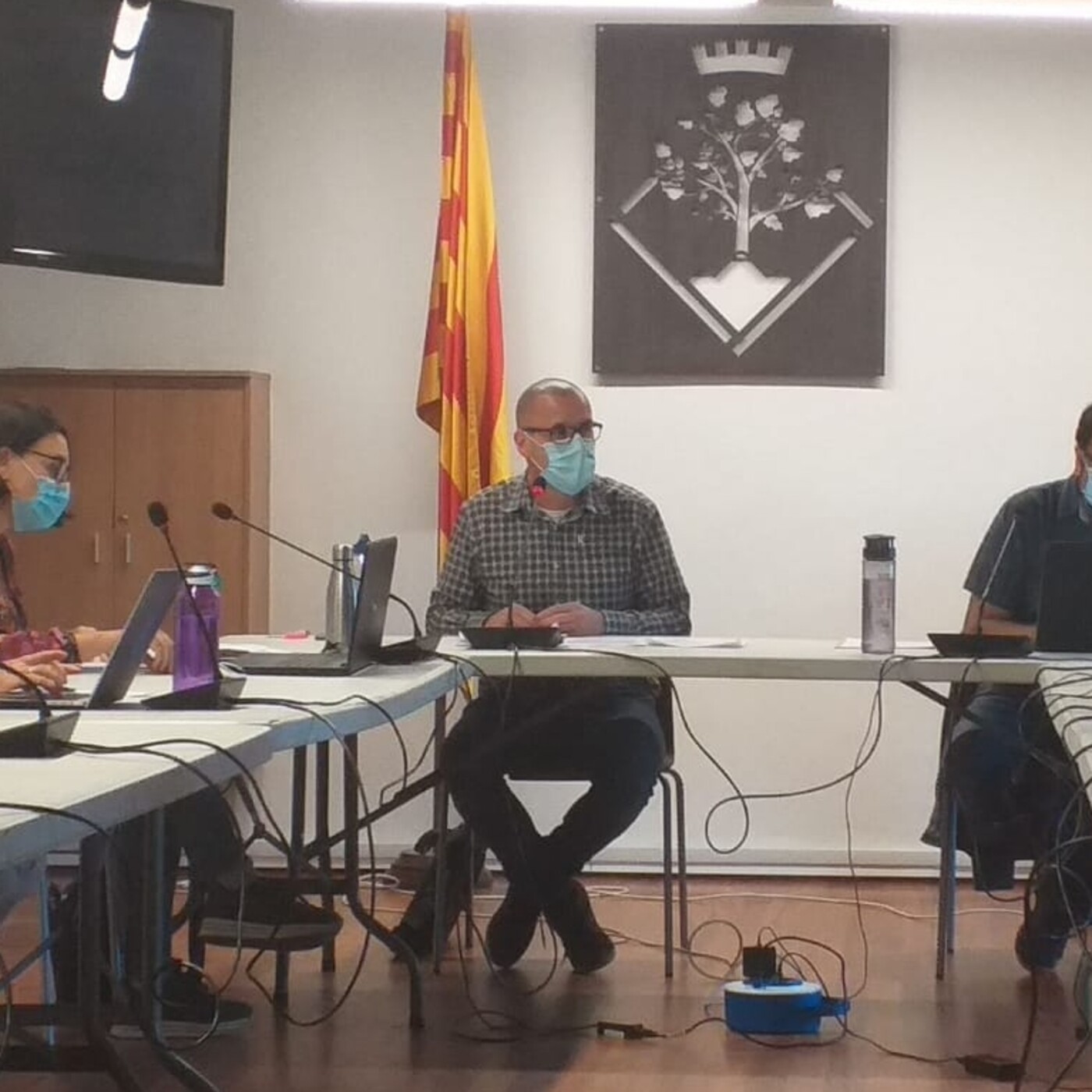 Plens Municipals