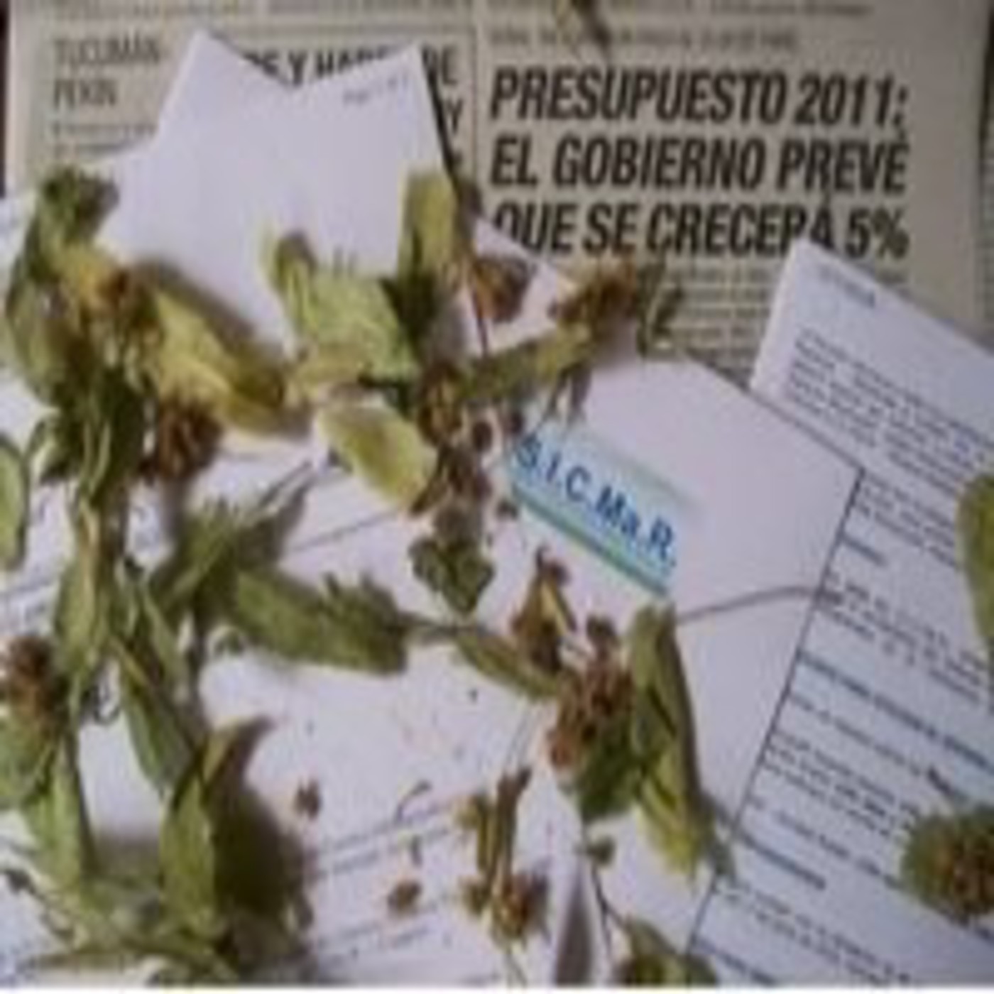 ENTILATE DIARIO