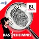 Stimmung - stimmt's?