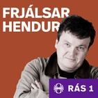 Fyrsti Íslendingurinn í Ameríku
