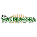 Aintzane Cruceta La Mandragora 11 Noviembre 2015
