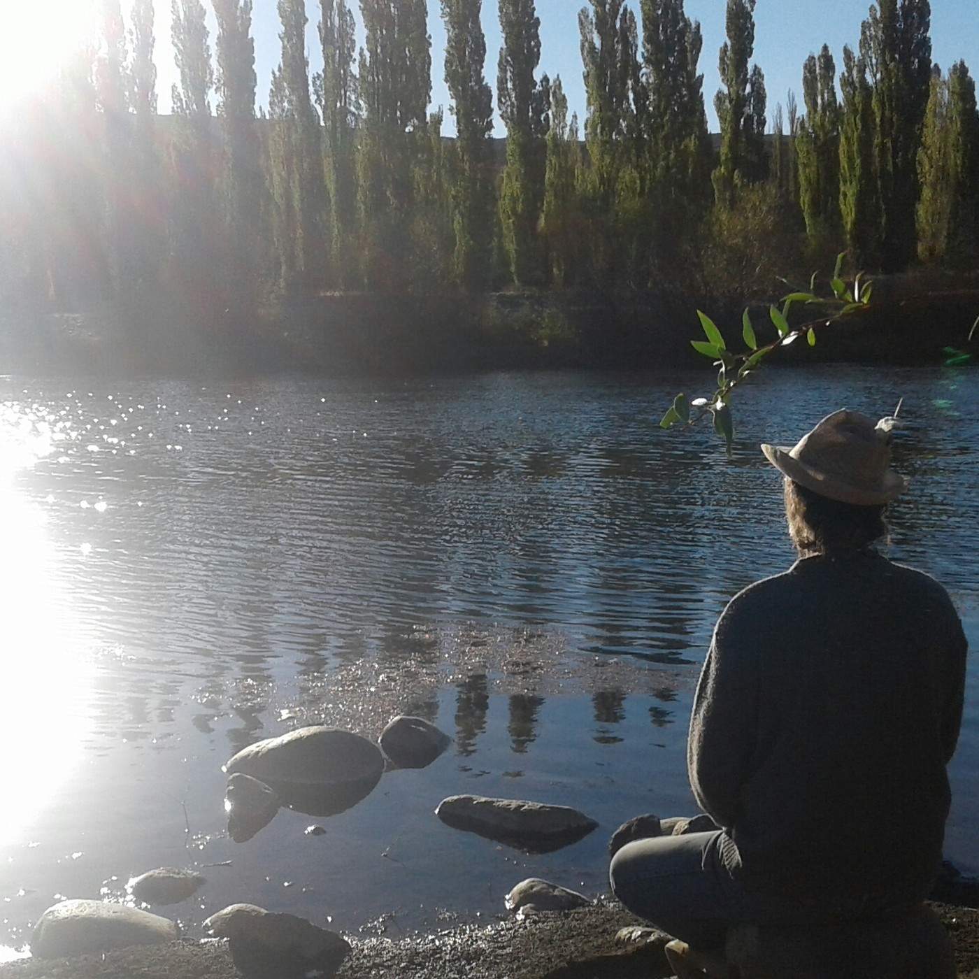 Meditações Diárias V (Português)