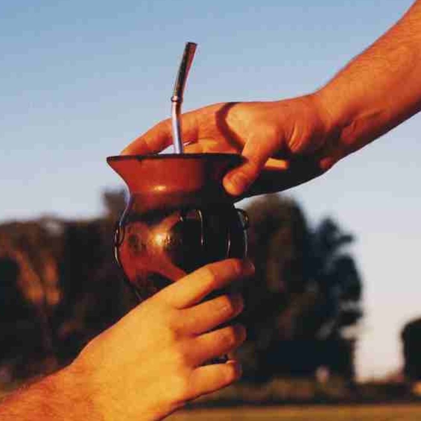 Panza Verde Bien Tagüe