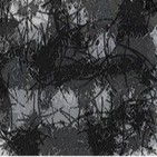 02x11