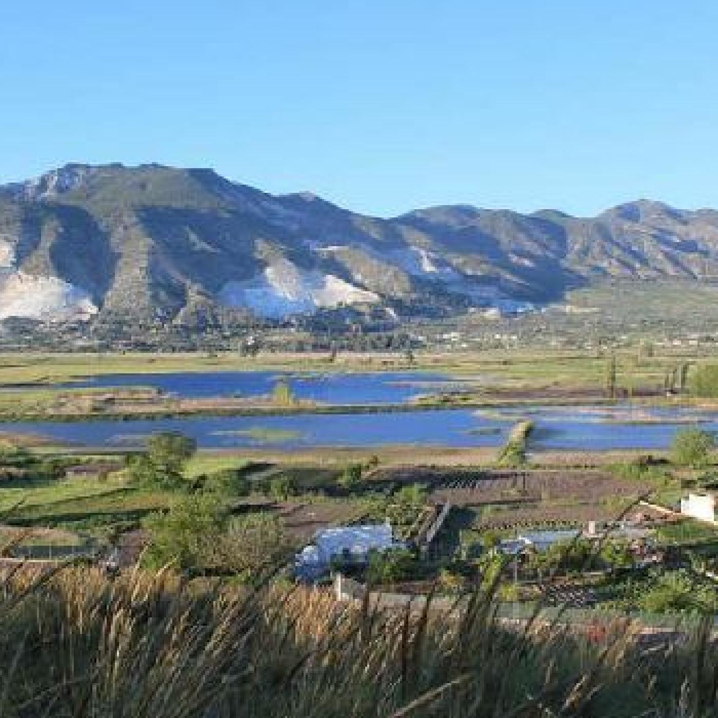 Curso Arte y Naturaleza, "En los bordesI".