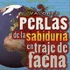 El abuso del internet