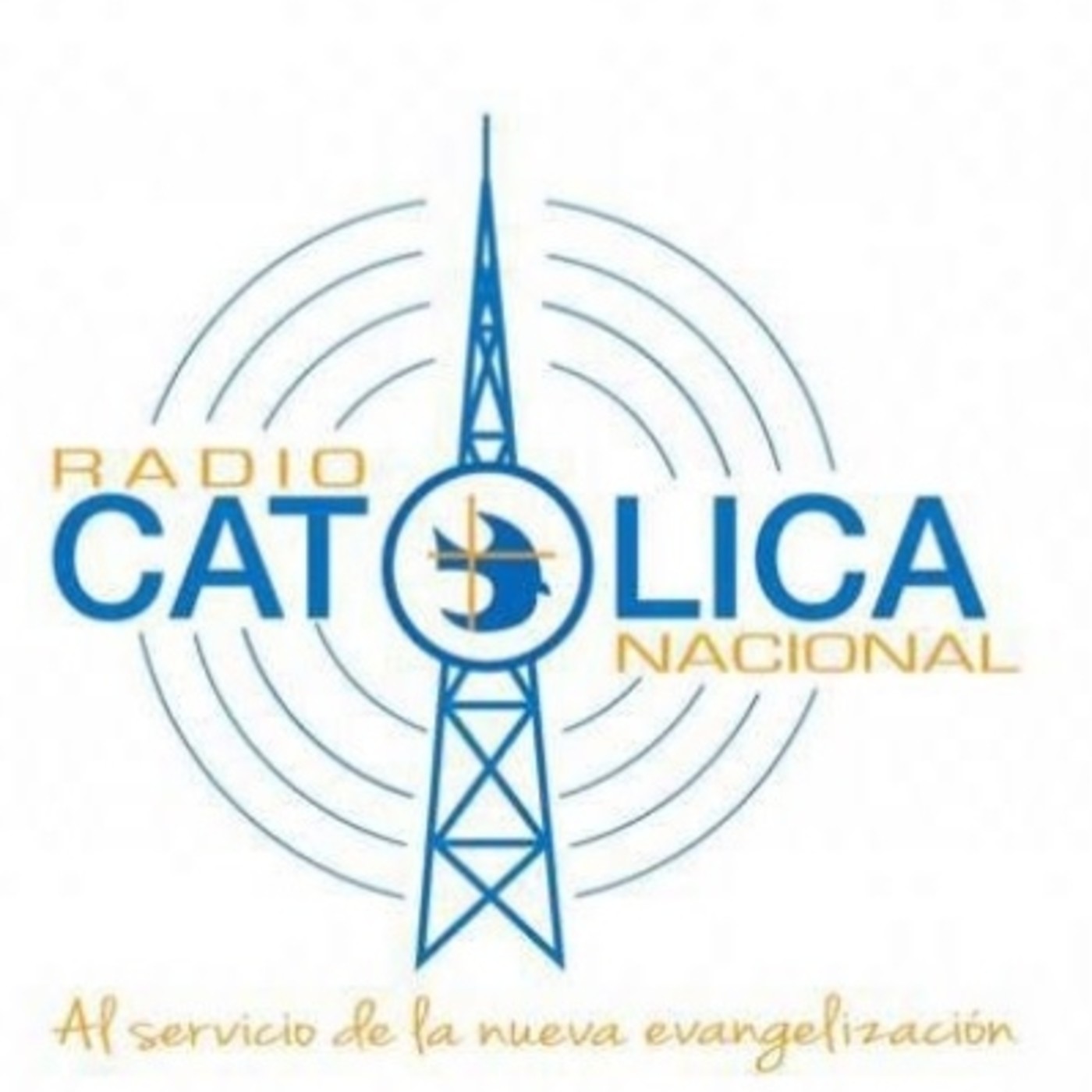 Entrevistas Colores para la vida